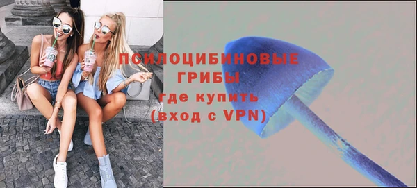 индика Заволжье