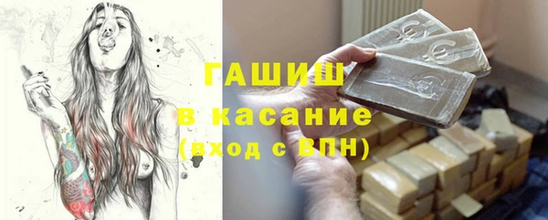 индика Заволжье