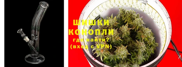 ГАЛЛЮЦИНОГЕННЫЕ ГРИБЫ Заводоуковск