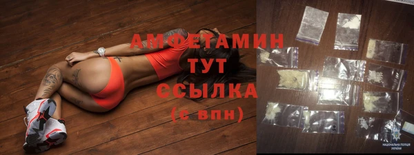 ГАЛЛЮЦИНОГЕННЫЕ ГРИБЫ Заводоуковск