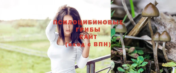 индика Заволжье