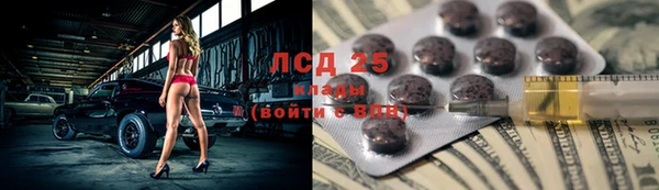 ГАЛЛЮЦИНОГЕННЫЕ ГРИБЫ Заводоуковск