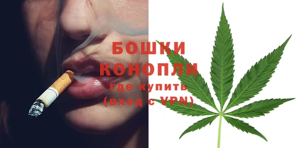 ГАЛЛЮЦИНОГЕННЫЕ ГРИБЫ Заводоуковск