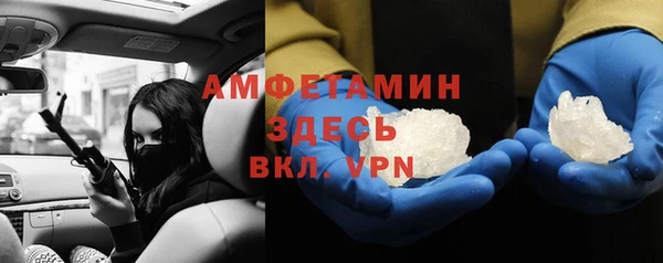 индика Заволжье