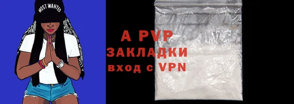 индика Заволжье