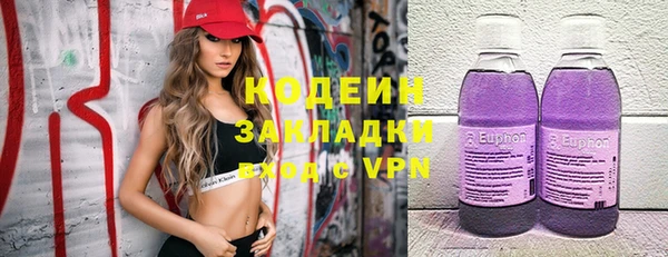 ГАЛЛЮЦИНОГЕННЫЕ ГРИБЫ Заводоуковск