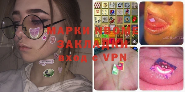 индика Заволжье