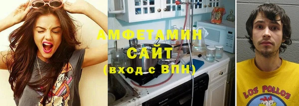 индика Заволжье