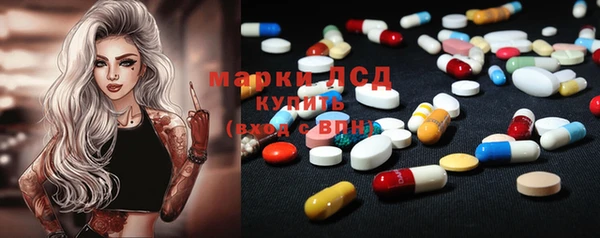 индика Заволжье