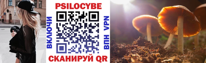 Псилоцибиновые грибы прущие грибы  Купить где  Мезень 